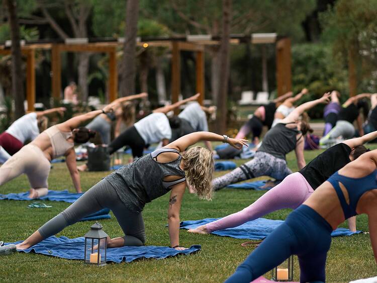 Coisas para fazer em Lisboa no Dia da Mulher Coisas para fazer em Lisboa no Dia da Mulher