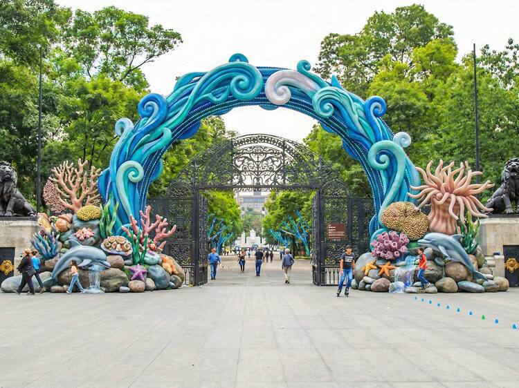 Spora Festival del Bosque de Chapultepec 2025