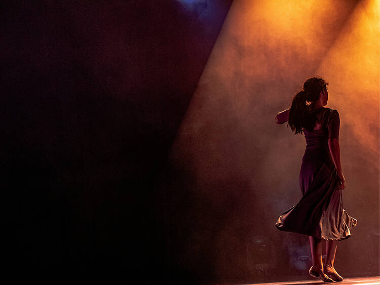 Nosotras no podemos nadar