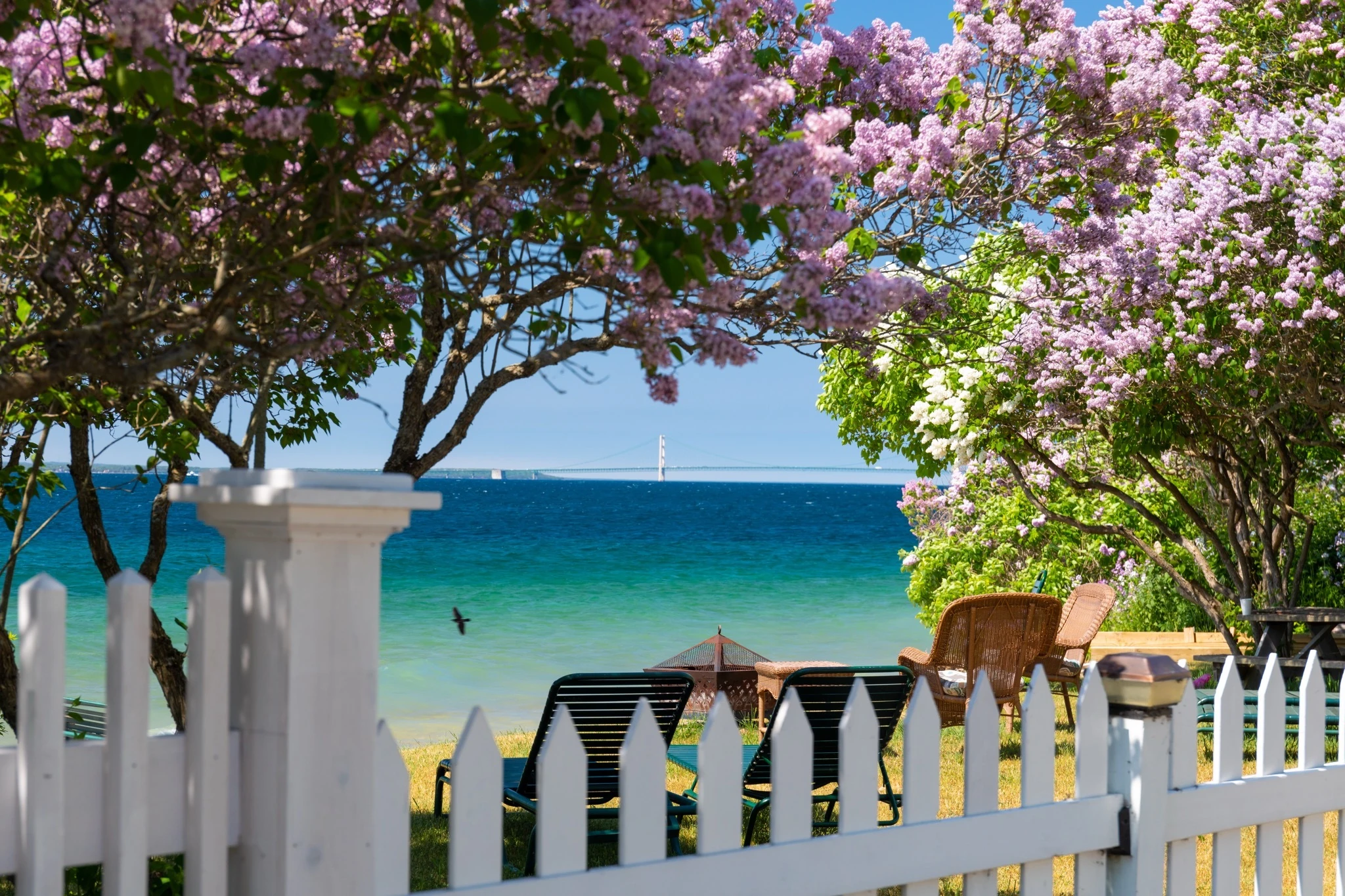 Mackinac Island Lilac Festival