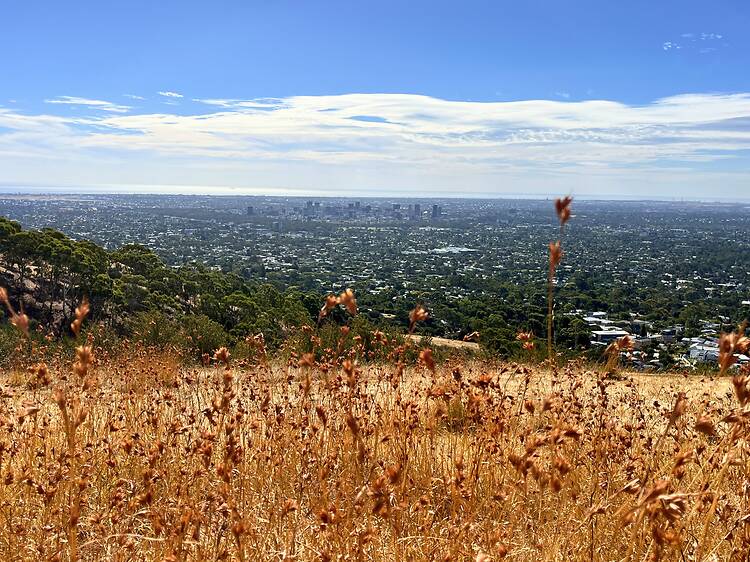 The 20 best things to do in Adelaide