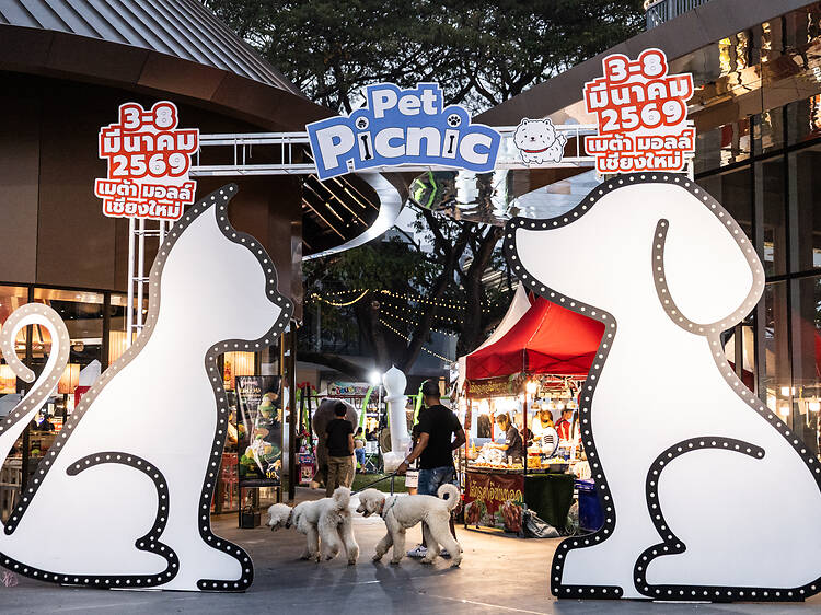 Bring your furry friends to this pet-friendly picnic party Bring your furry friends to this pet-friendly picnic party