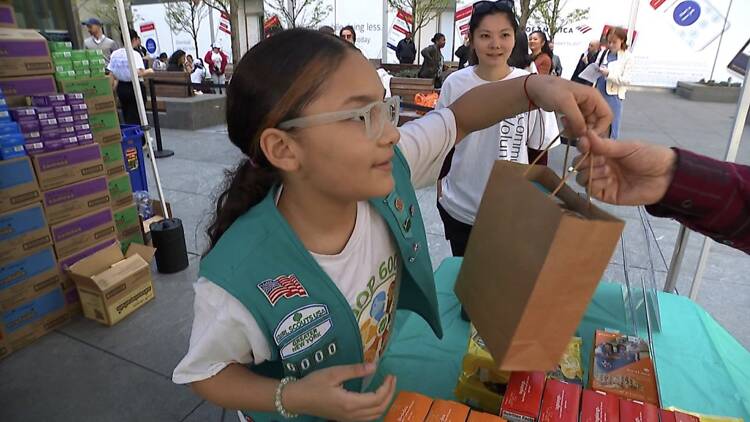Girl Scouts of America, Troop 6000