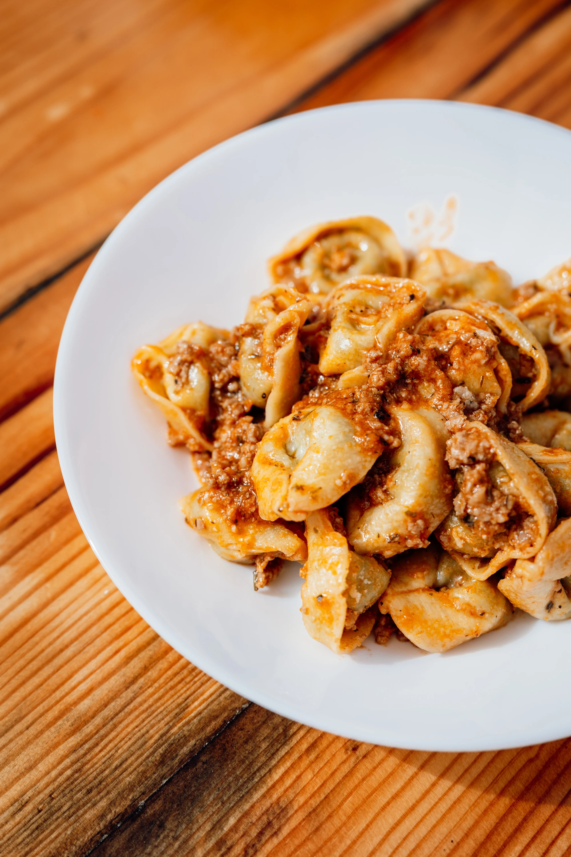 tortellonis de ricotta e espinafres com molho de rag&ugrave; &agrave; bolonhesa