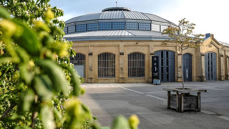 Get cultured at the Rotondes