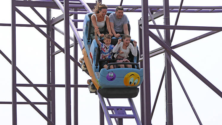 A family of four ride a rollercoaster