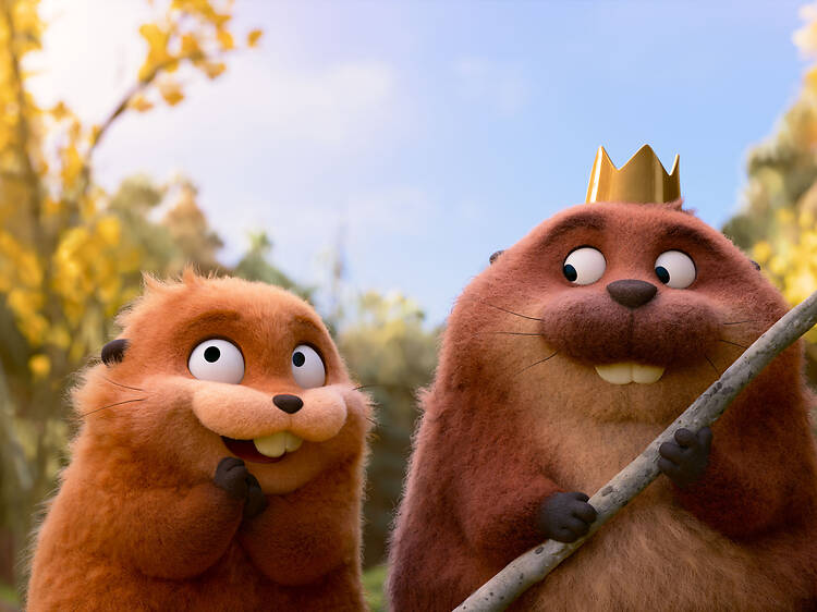 ‘Saltitões’: uma viagem ao reino dos castores