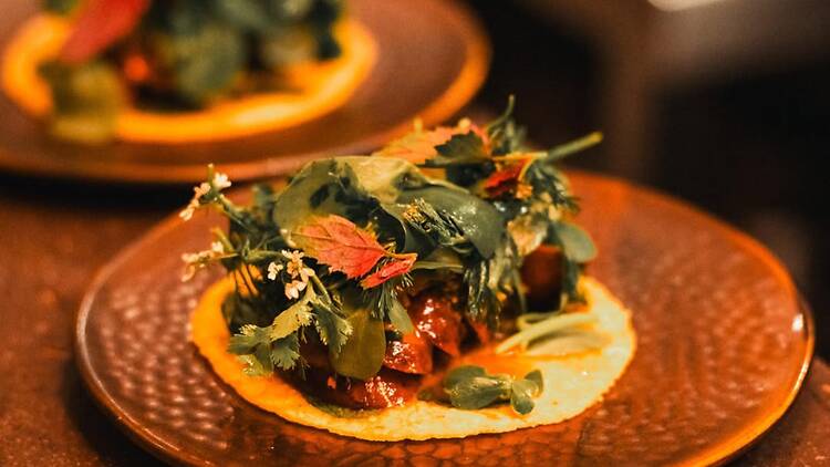 Anti-ICE Supper Club en Baldío cenas con causa