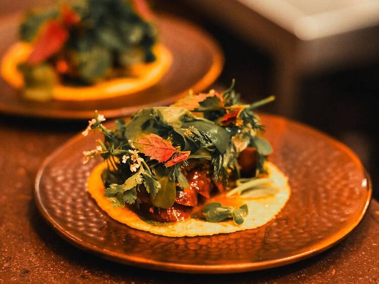 Anti-ICE Supper Club