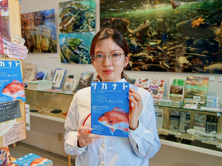 æ±äº¬ã®å°éæžåºå¡ã«èããéããªãã¬ã³ã2026 æ±äº¬ã®å°éæžåºå¡ã«èããéããªãã¬ã³ã2026