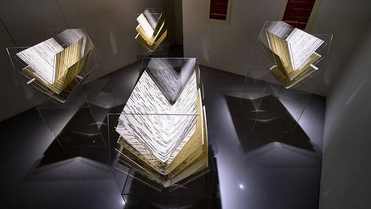 Wolf Loving Princess