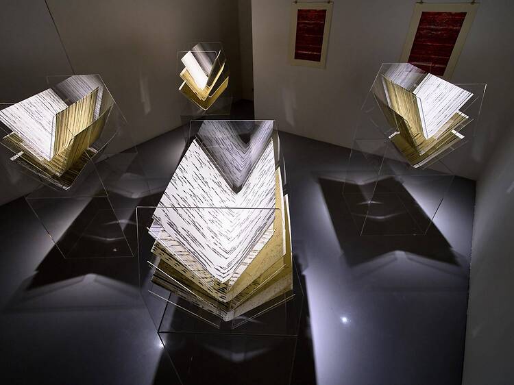 Wolf Loving Princess