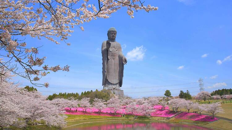 Ushiku Daibutsu, Ibaraki