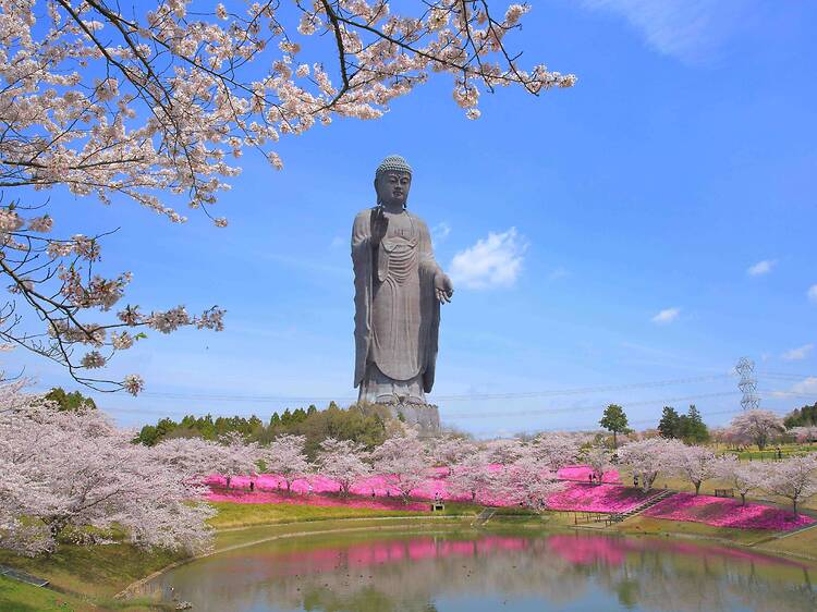 Ushiku Daibutsu, Ibaraki