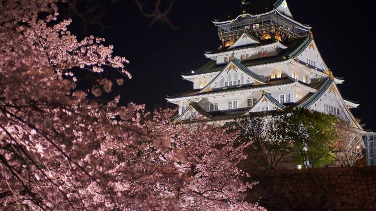 Osaka Castle Park, Osaka