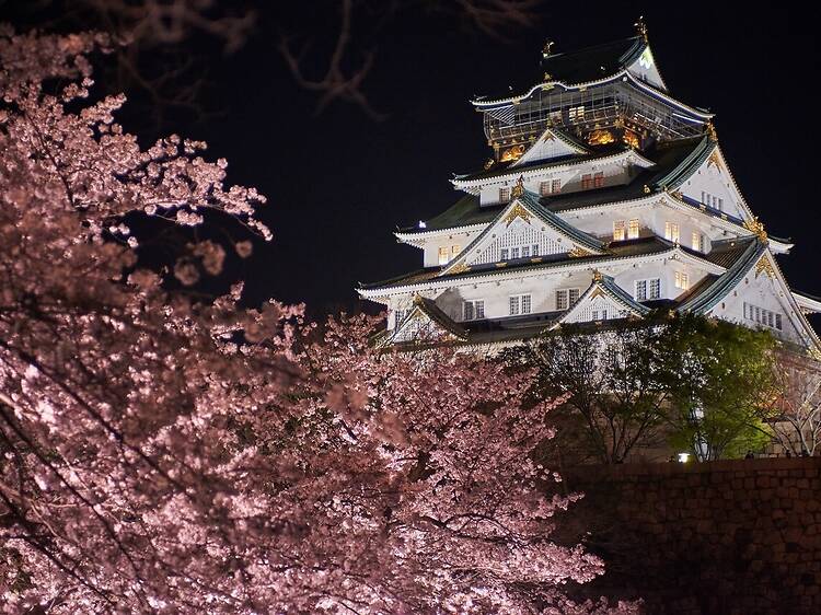 Osaka Castle Park, Osaka