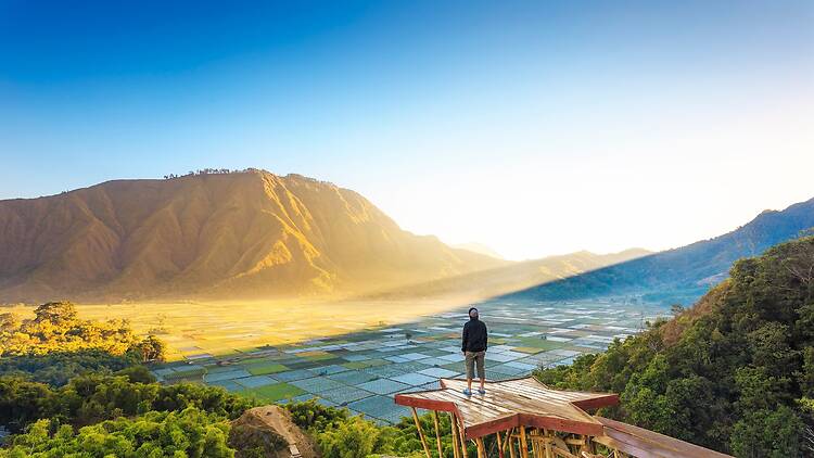 Traveller enjoying views wonderful farmland scenery at Sembalun near Rinjani volcano in Lombok, Indonesia. Traveling, freedom and active lifestyle concept.