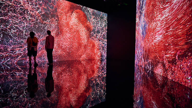 Evolver (2019) by Marshmallow Laser Feast