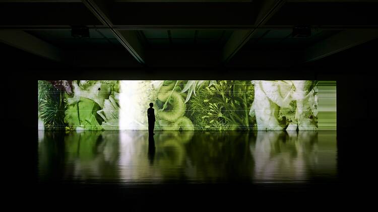 Seeing Sound, Hearing Time by Ryuichi Sakamoto