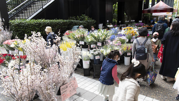 Ark Hills Sakura Festival