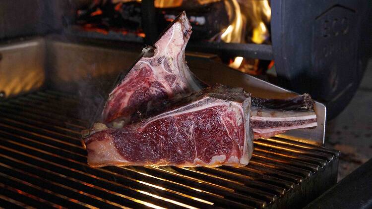 Matar a fome no Faminto Matar a fome no Faminto