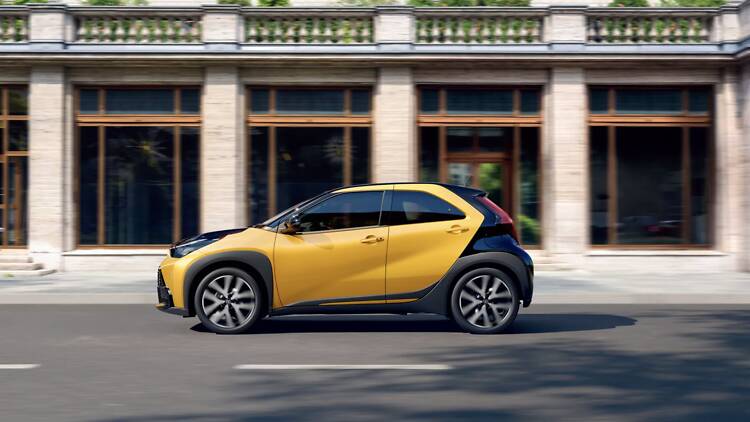 Pequeno no tamanho, grande na atitude Pequeno no tamanho, grande na atitude