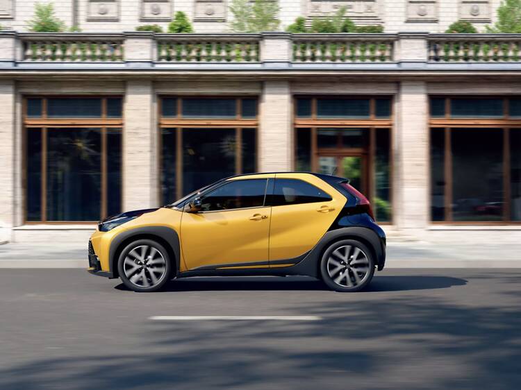 Pequeno no tamanho, grande na atitude Pequeno no tamanho, grande na atitude