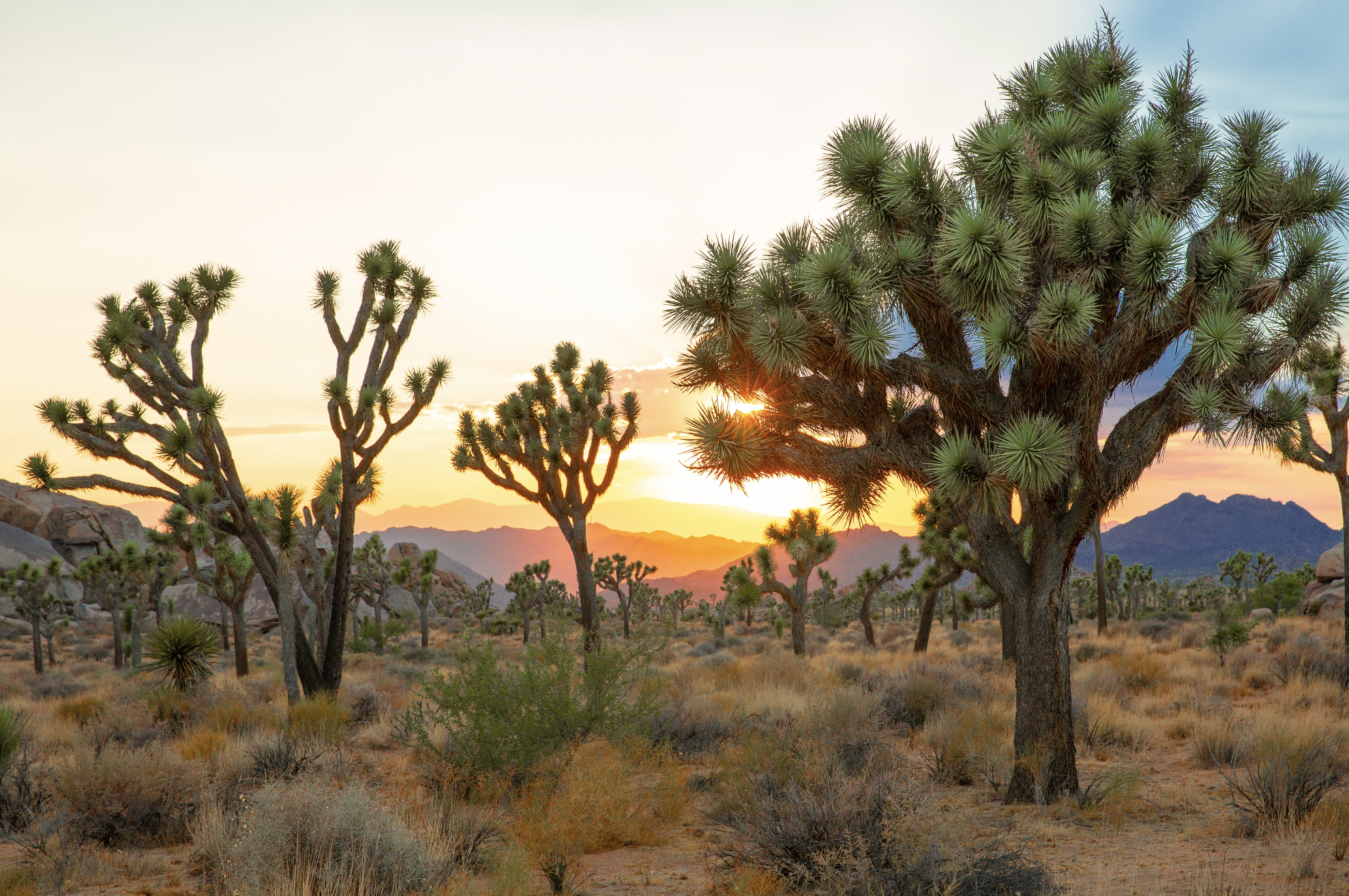 Americans Prefer Outdoor Spring Adventures Over City Tours