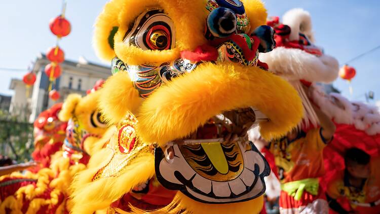 Chinese New Year lion dance