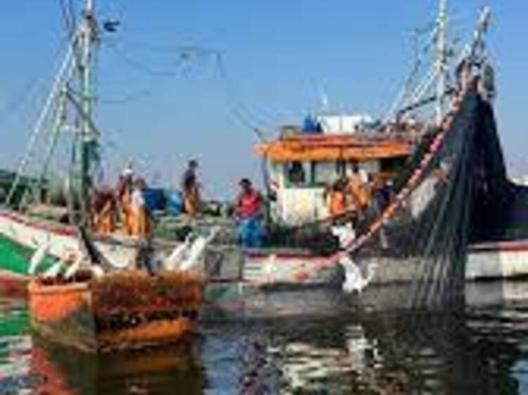 Pescar na Baía da Guanabara