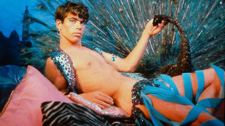 Pink Narcissus (1971)