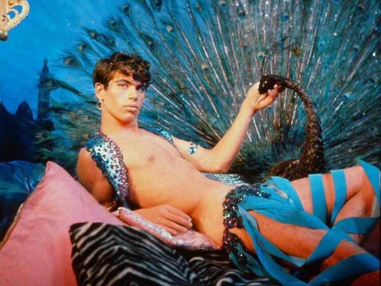 Pink Narcissus (1971)