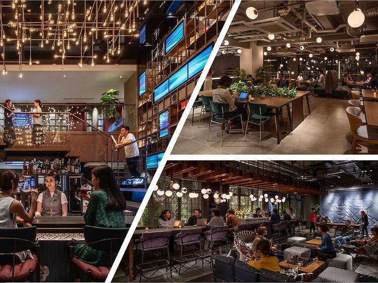 THE LIVELY 大阪本町