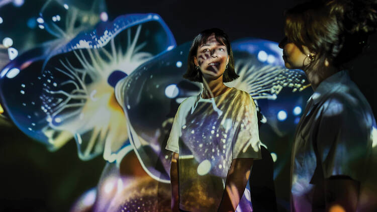 Data Dreams: Art and AI at MCA Data Dreams: Art and AI at MCA