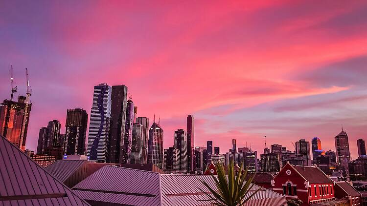 Pink sunset over city