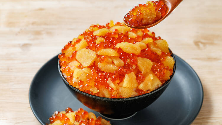 Sakana Japan Festival 2026 in Expo ’70 Commemorative Park