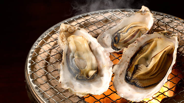 Sakana Japan Festival 2026 in Expo ’70 Commemorative Park