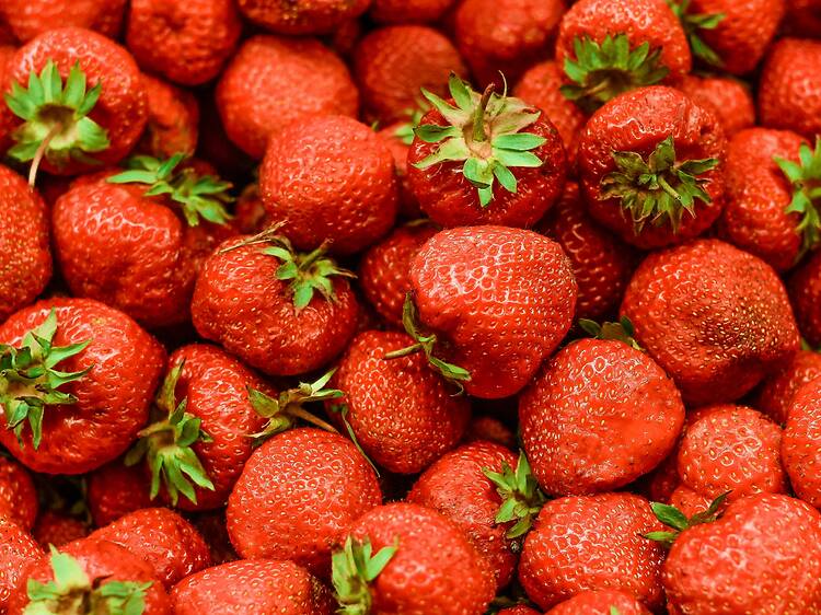 Osaka Strawberry Festival 2026