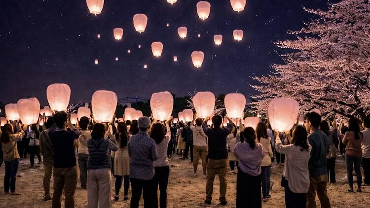 Ogimachi Cherry Blossom Festival Ogimachi Cherry Blossom Festival