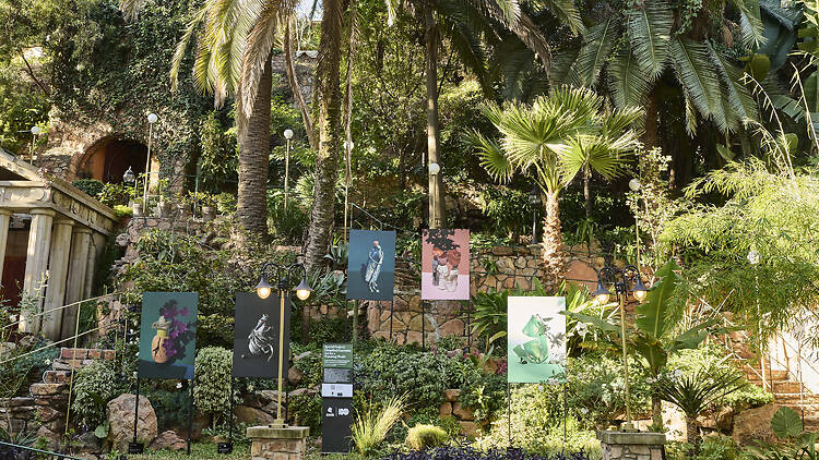 RMB Latitudes Art Fair at Shepstone Gardens