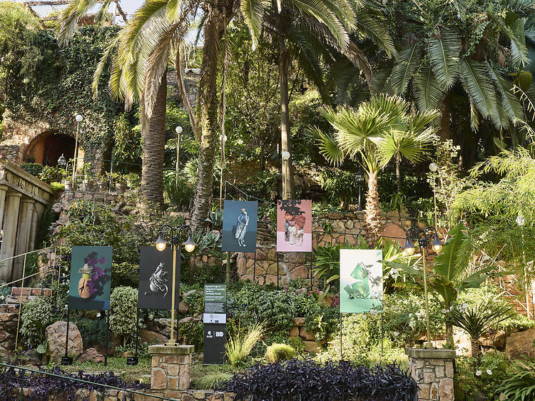 Everything you need to know about RMB Latitudes 2026