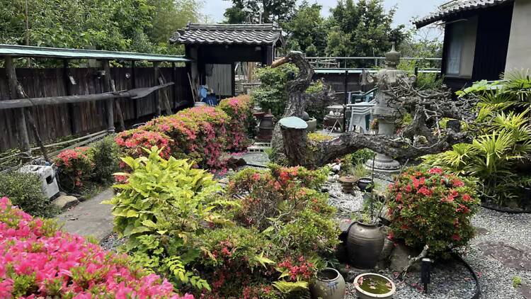 The private island sea-shack: Mukojima Assembly Hall