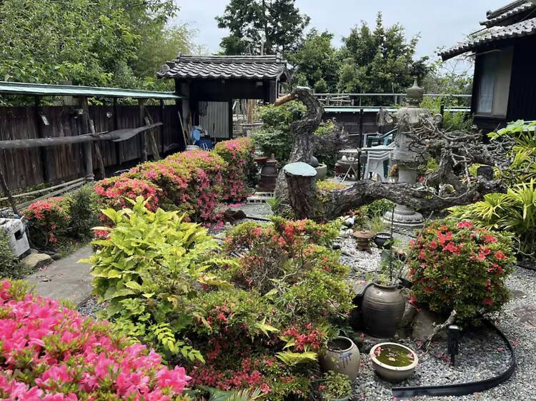 The private island sea-shack: Mukojima Assembly Hall