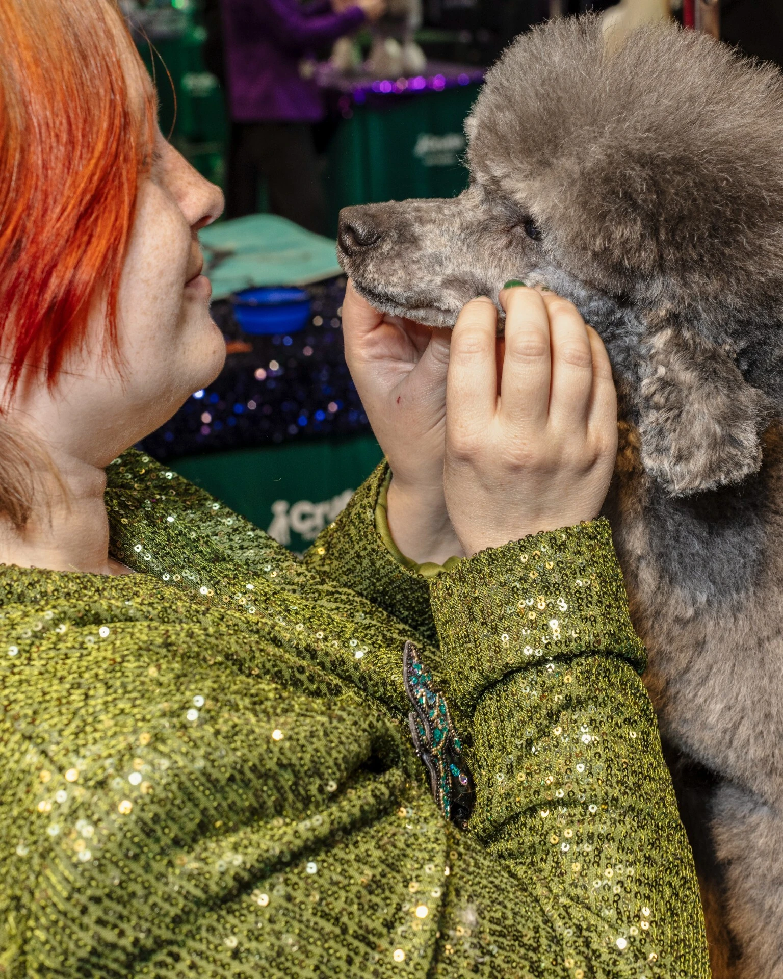 Crufts 2026 dogs by photographer Chris Bethell