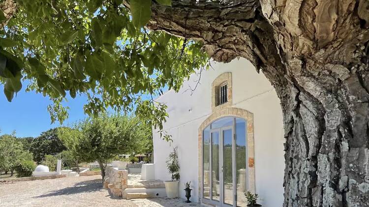 The vineyard estate: Masseria di Pirro