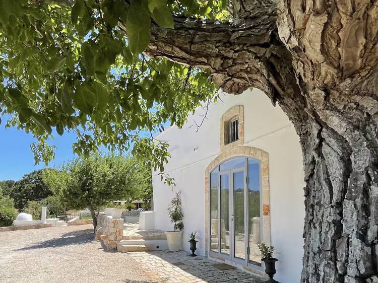 The vineyard estate: Masseria di Pirro