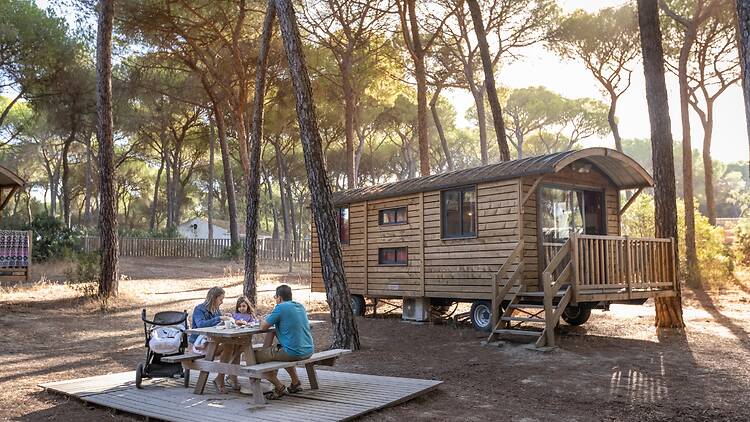 Doñana: naturaleza salvaje en Andalucía