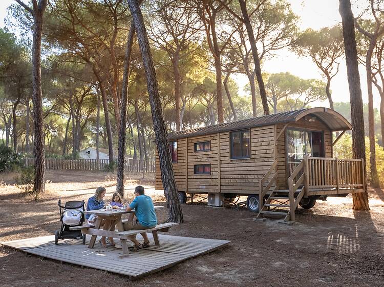 Doñana: naturaleza salvaje en Andalucía