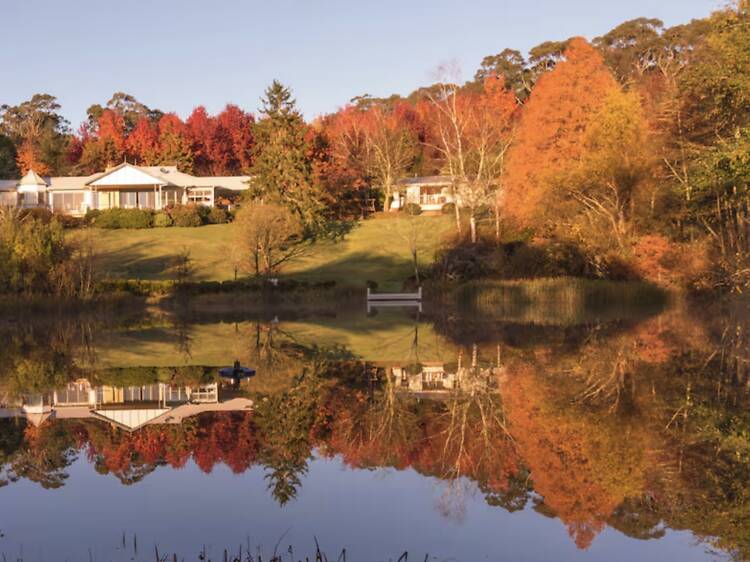 The sprawling eco-resort: Dantosa Blue Mountains Retreat