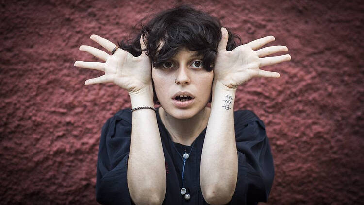 ana frango electrico